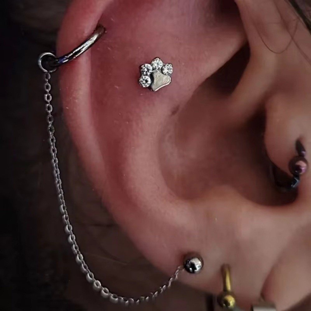Cadena de titanio para nariz,  - Body Jewelry Ear reseña y precio
